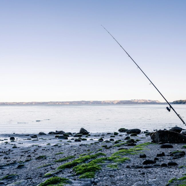 A fishing rod on the shore of a lake