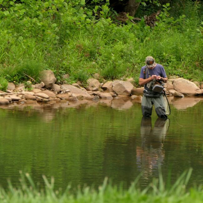 A man standing in a river holding a fish