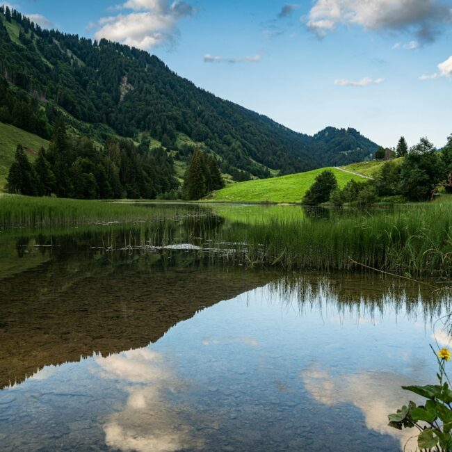 A lake surrounded by a lush green hillside